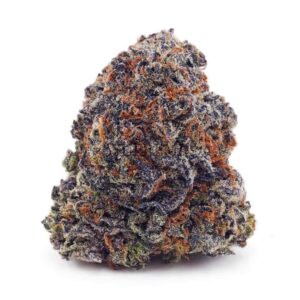 Purple Afghan Haze AAAA