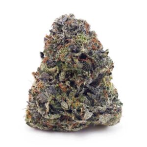Hindu Kush AA