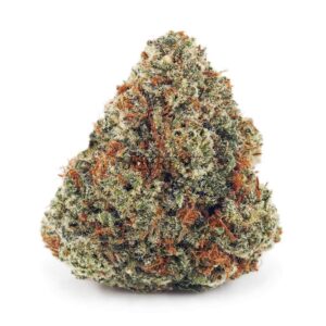 Nightmare OG AA