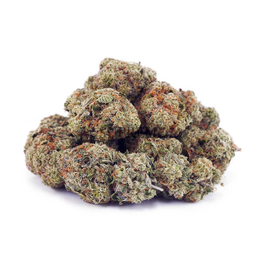 White Rhino AAA - Image 2