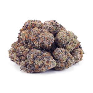 Blackberry Fritter AAAA